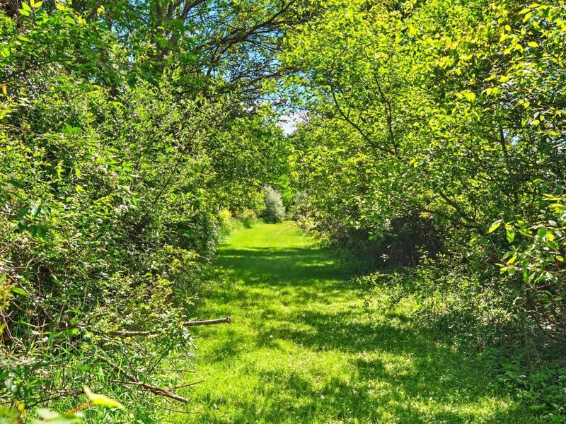 7595 Co Rd 19, Fredericktown, OH 43019 Photo 7