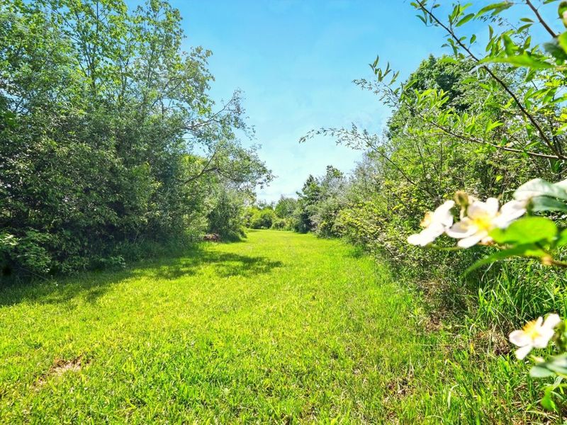 7595 Co Rd 19, Fredericktown, OH 43019 Photo 9