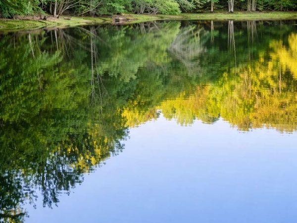 0 Malone Road, Fayetteville, GA 30215