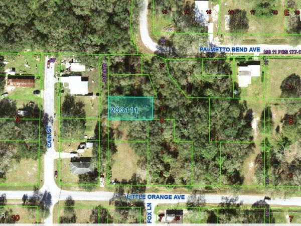 0 Little Orange Avenue, Mulberry, FL 33860