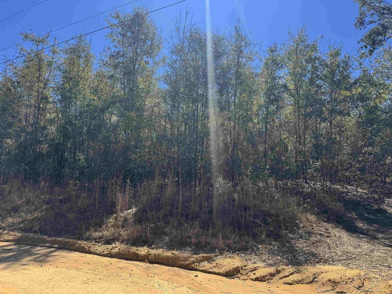 Ne Rocky Ford Road, Pinetta, FL 32350 Photo