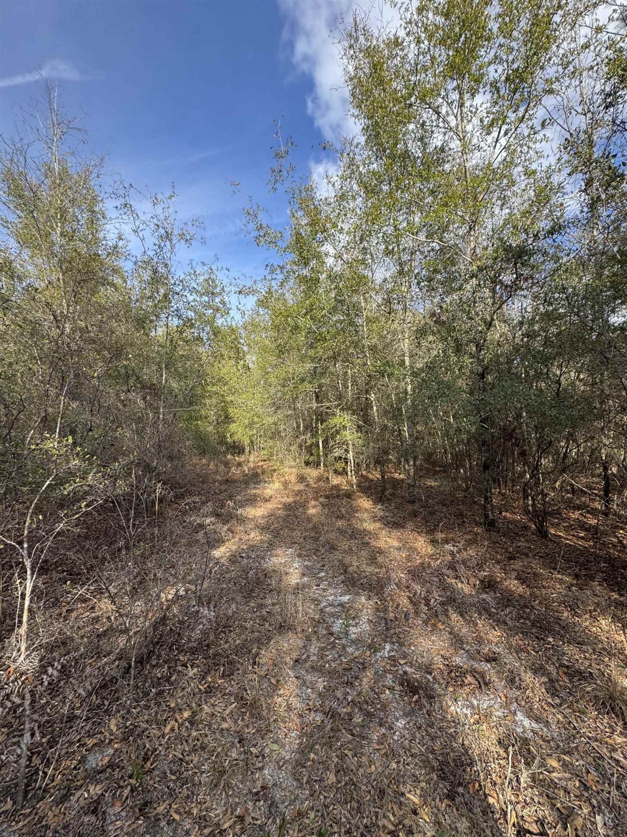 Ne Rocky Ford Road, Pinetta, FL 32350 Photo