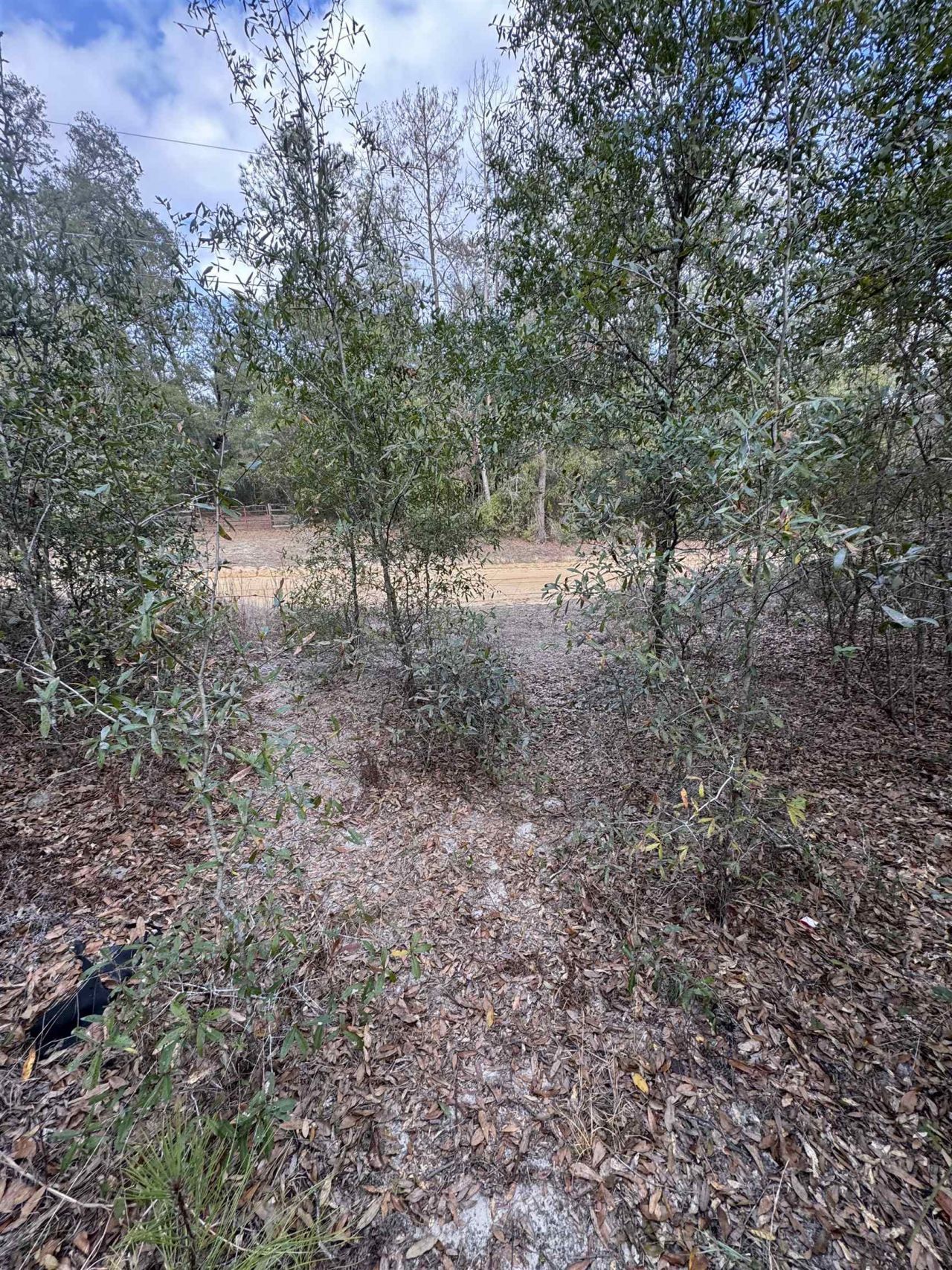 Ne Rocky Ford Road, Pinetta, FL 32350 Photo