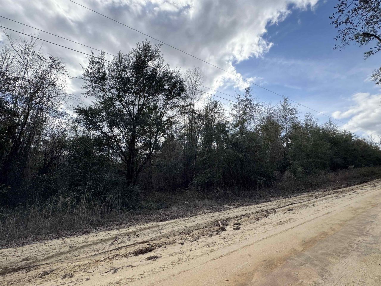 Ne Rocky Ford Road, Pinetta, FL 32350 Photo