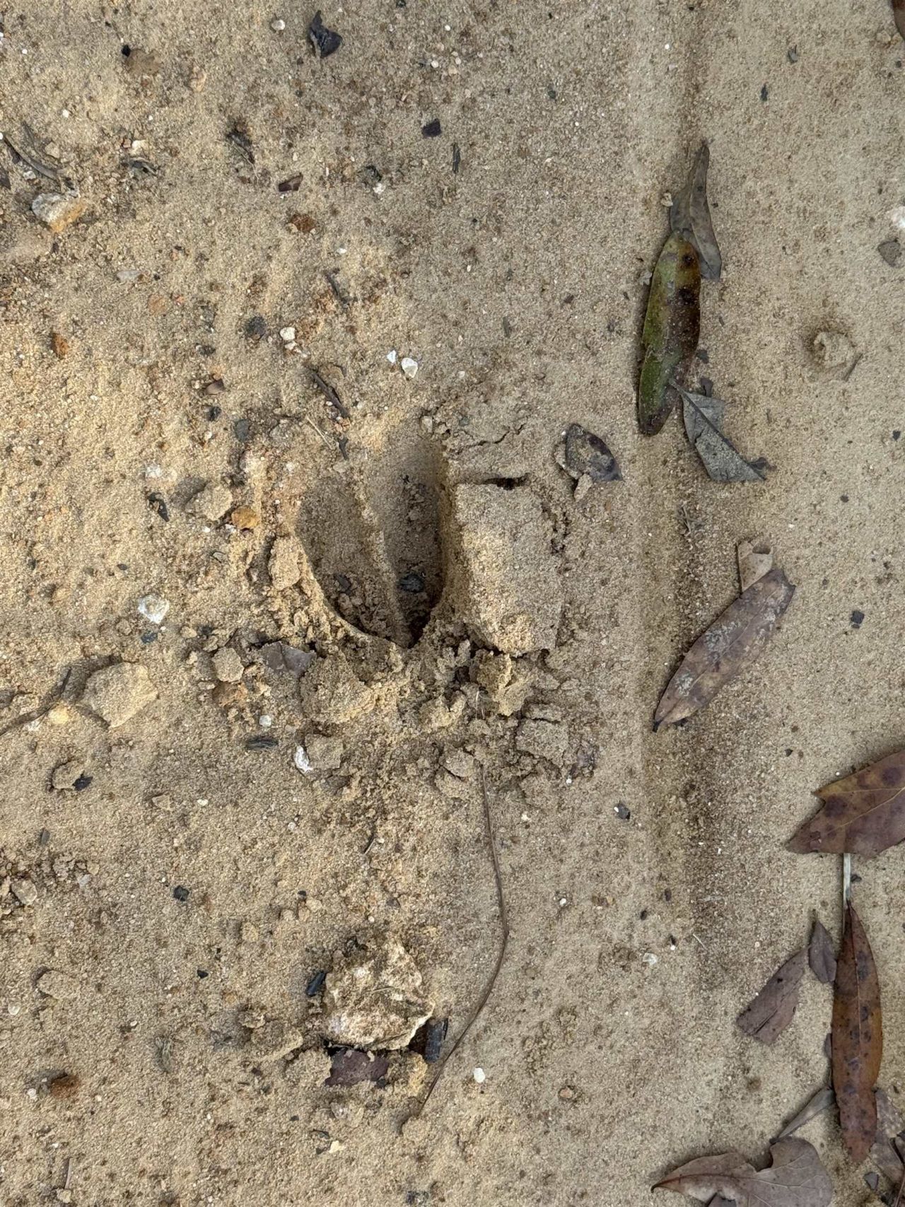 Ne Rocky Ford Road, Pinetta, FL 32350 Photo