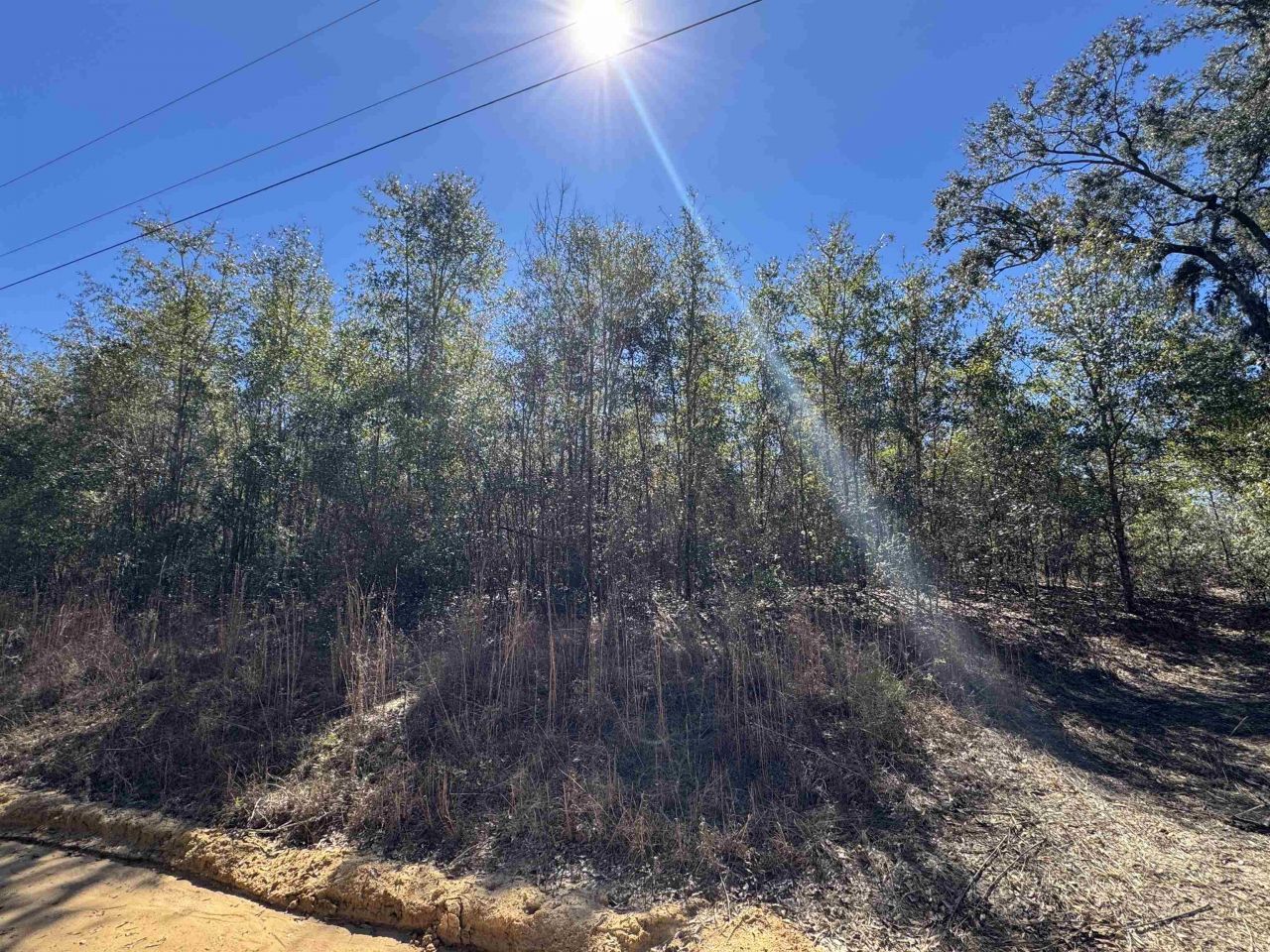 Ne Rocky Ford Road, Pinetta, FL 32350 Photo