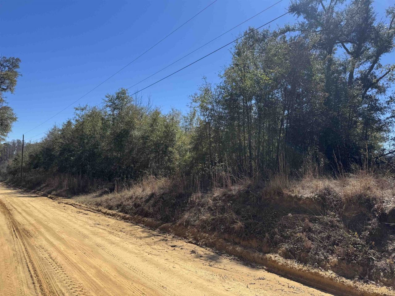 Ne Rocky Ford Road, Pinetta, FL 32350 Photo