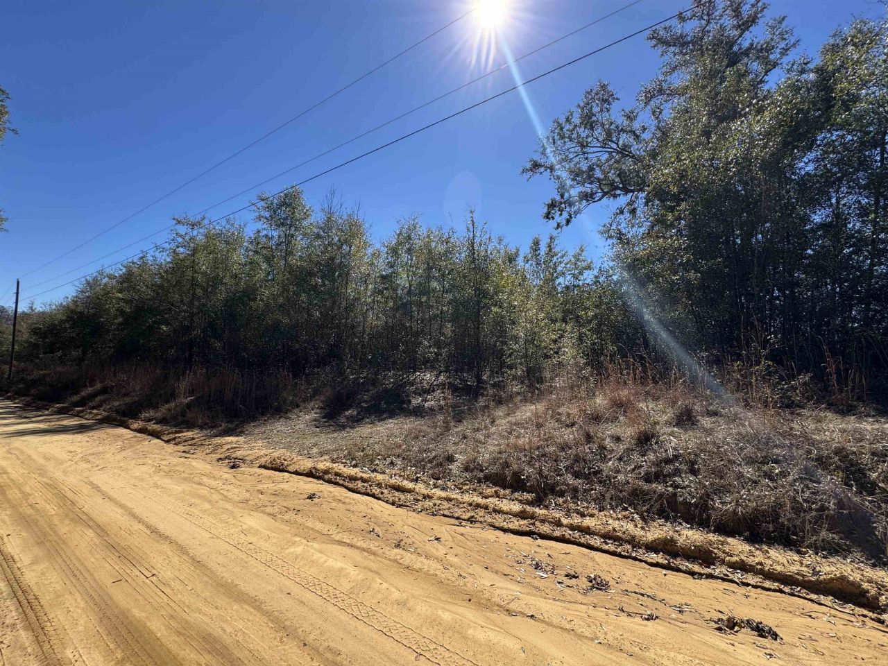 Ne Rocky Ford Road, Pinetta, FL 32350 Photo