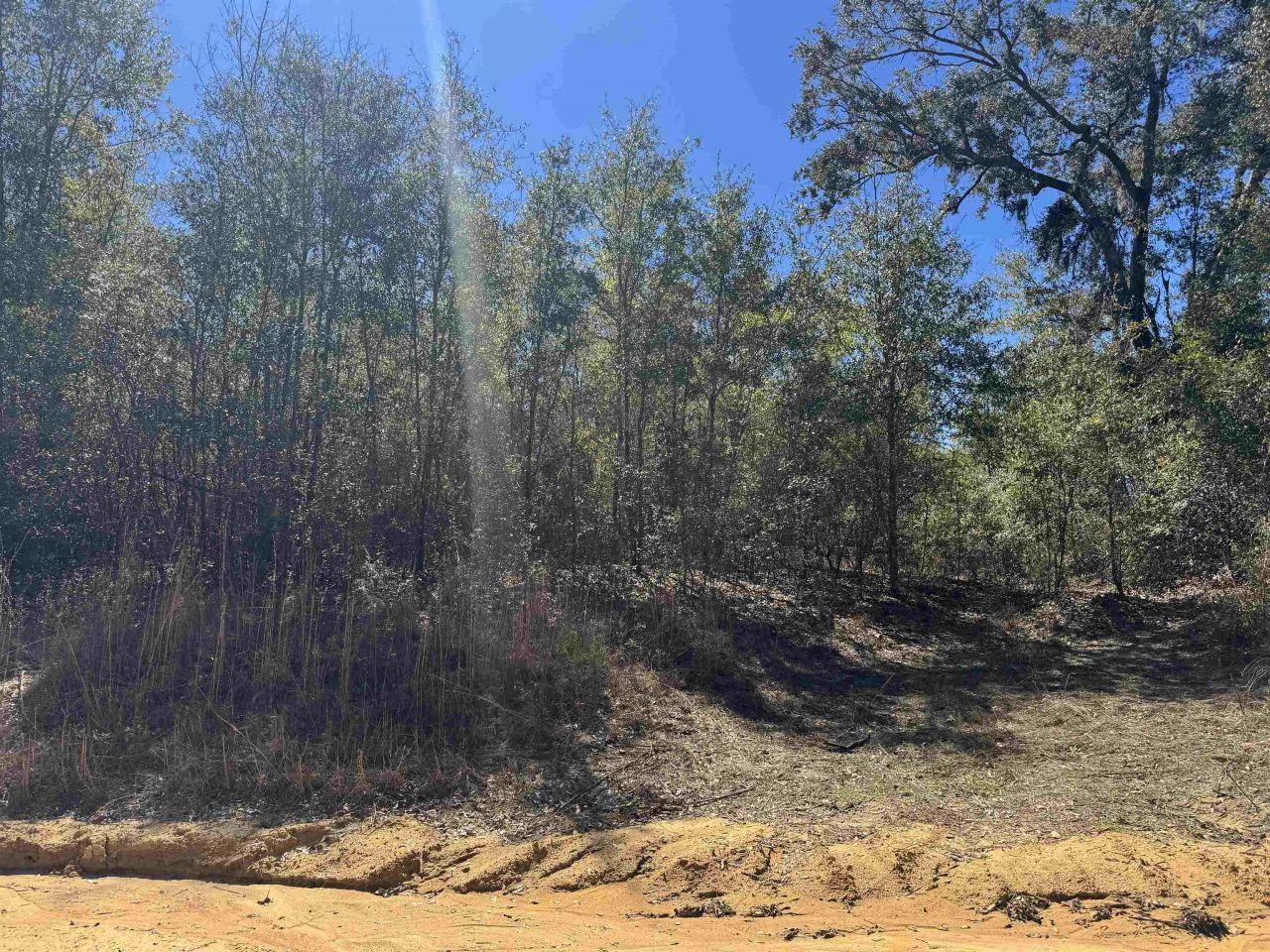 Ne Rocky Ford Road, Pinetta, FL 32350 Photo