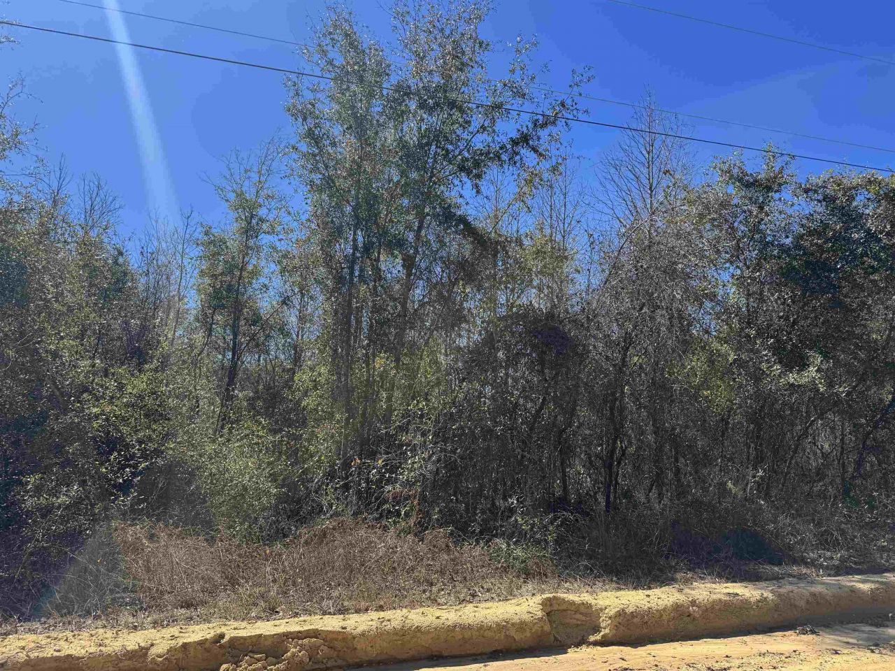 Ne Rocky Ford Road, Pinetta, FL 32350 Photo