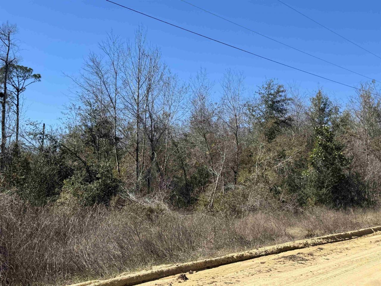 Ne Rocky Ford Road, Pinetta, FL 32350 Photo