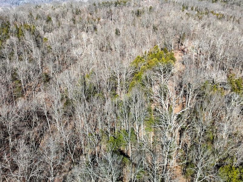 248 Sulphur Lick Road, Frankfort, KY 40601 Photo 10