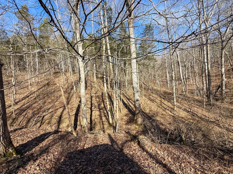 248 Sulphur Lick Road, Frankfort, KY 40601 Photo 11
