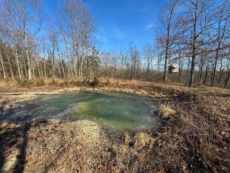 248 Sulphur Lick Road, Frankfort, KY 40601 Photo 13