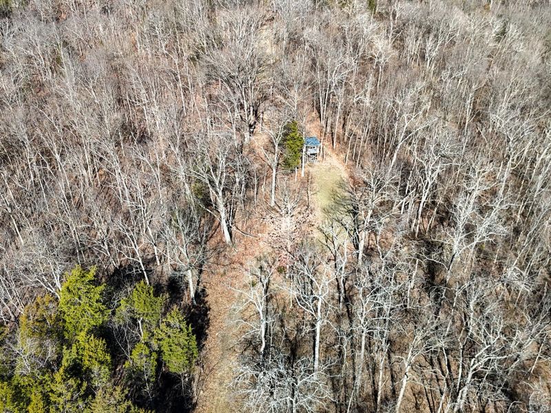 248 Sulphur Lick Road, Frankfort, KY 40601 Photo 15