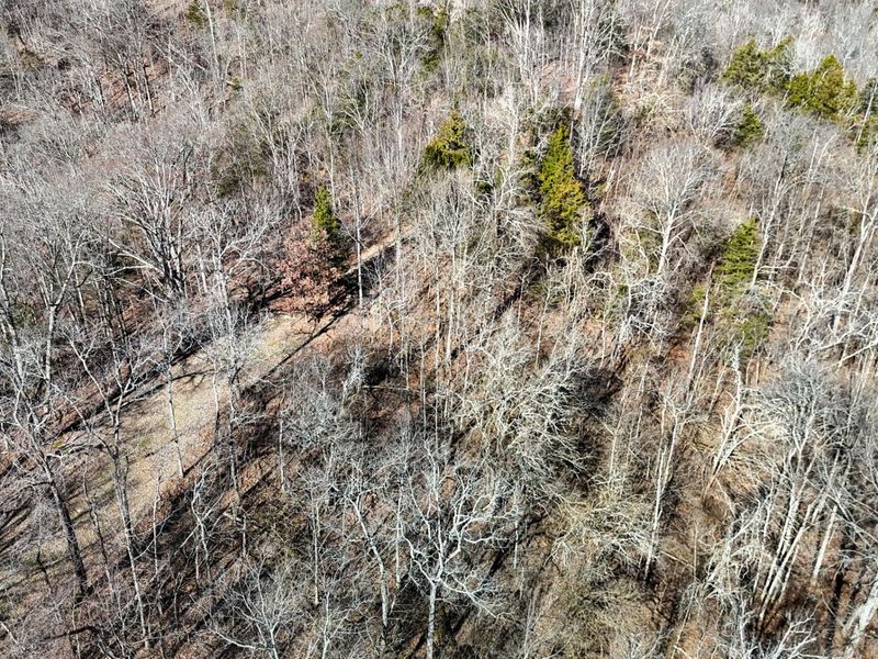 248 Sulphur Lick Road, Frankfort, KY 40601 Photo 16