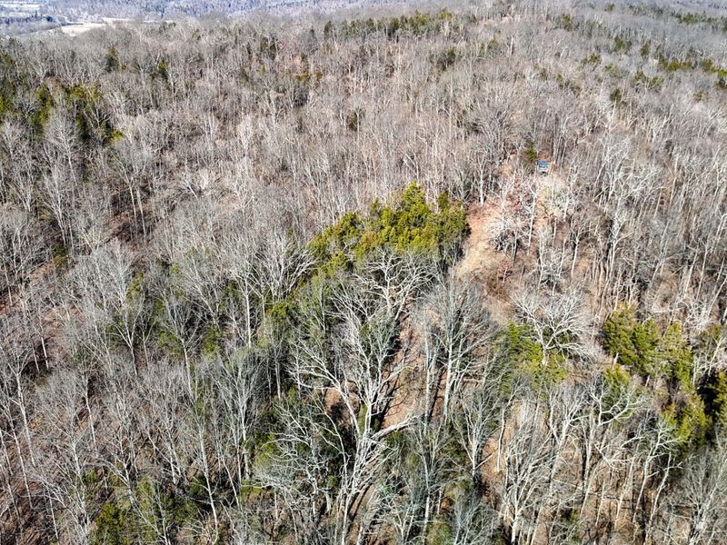 248 Sulphur Lick Road, Frankfort, KY 40601 Photo 17