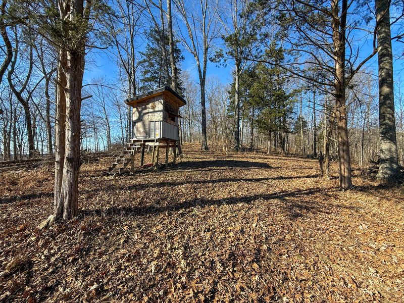 248 Sulphur Lick Road, Frankfort, KY 40601 Photo 43