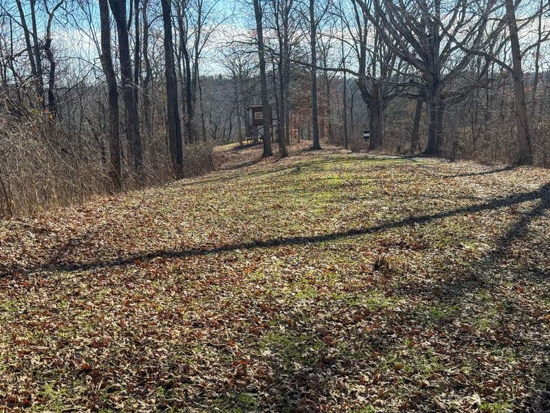 248 Sulphur Lick Road, Frankfort, KY 40601 Photo 44