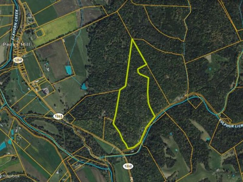 248 Sulphur Lick Road, Frankfort, KY 40601 Photo 9