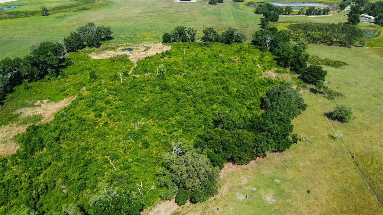 Se 51st Lane, Center Hill, FL 33514 Photo