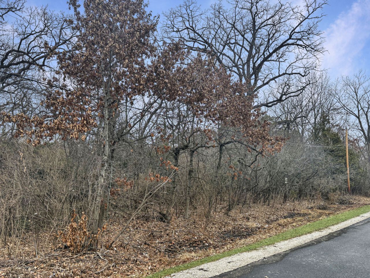 12346 W Sallmon Avenue, Beach Park, IL 60087 Main Photo