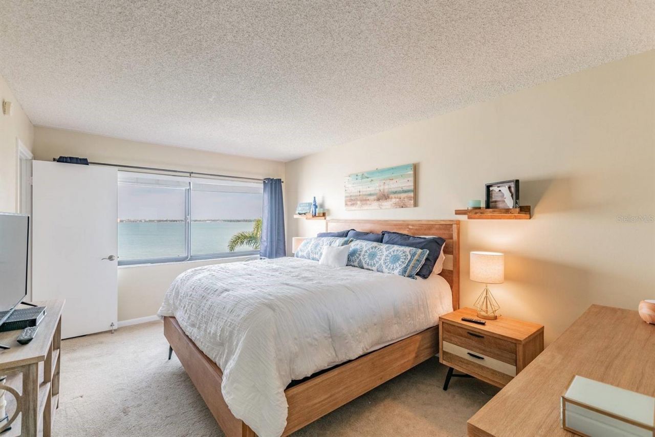 5541 Puerta Del Sol Boulevard S, Unit 316, Saint Petersburg, FL 33715 Photo