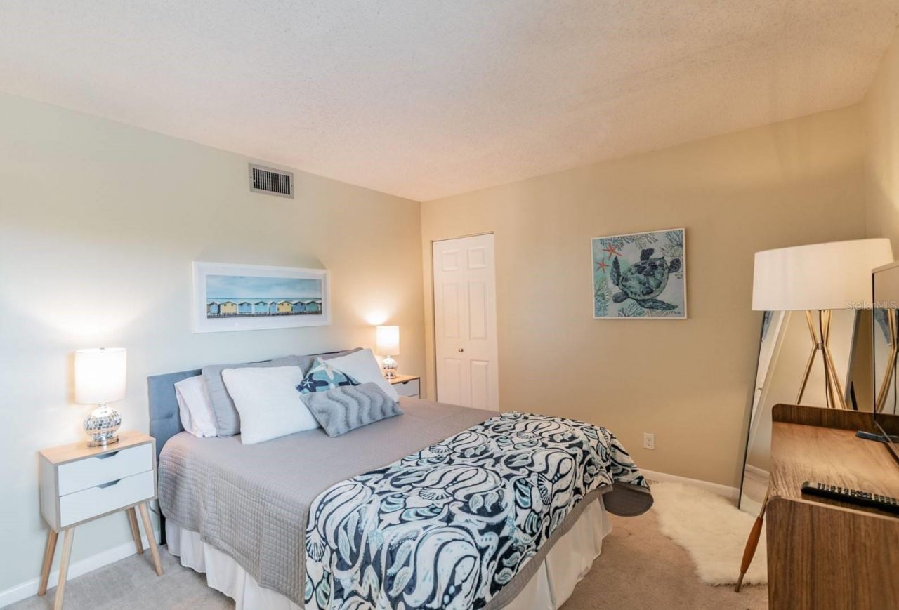 5541 Puerta Del Sol Boulevard S, Unit 316, Saint Petersburg, FL 33715 Photo