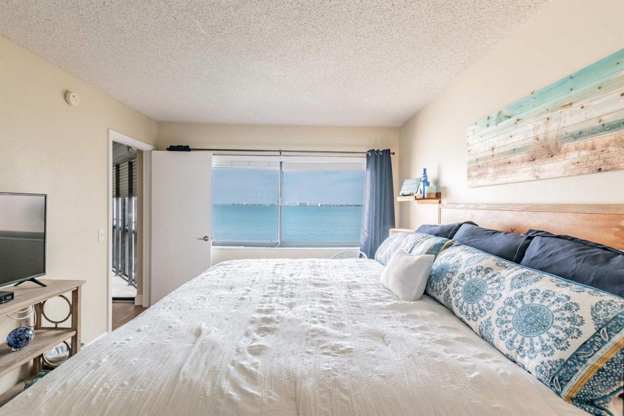 5541 Puerta Del Sol Boulevard S, Unit 316, Saint Petersburg, FL 33715 Photo