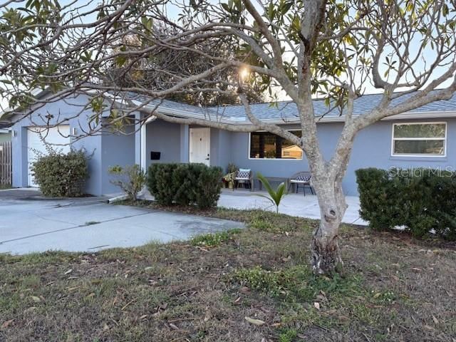 7440 1st Street N, Saint Petersburg, FL 33702 Photo