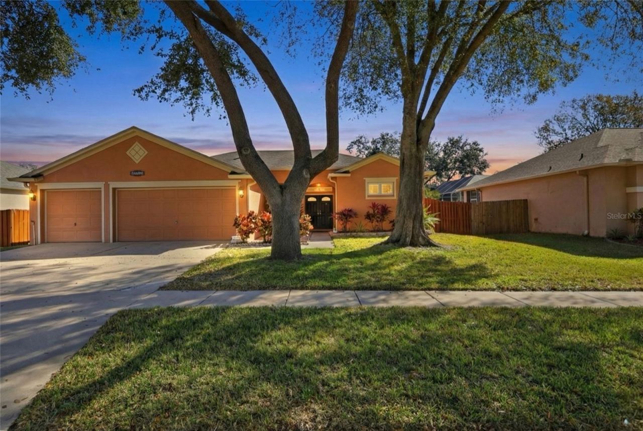 10455 Ashley Oaks Drive, Riverview, FL 33578 Main Photo