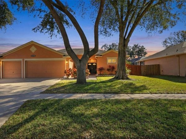 10455 ASHLEY OAKS DRIVE, RIVERVIEW, FL 33578