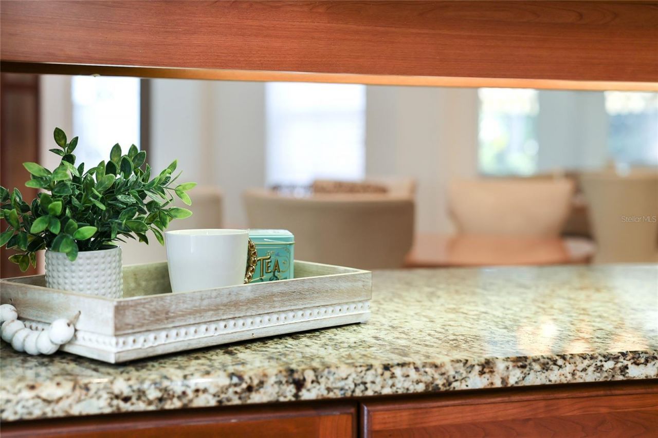 7012 Twin Hills Terrace, Lakewood Ranch, FL 34202 Photo