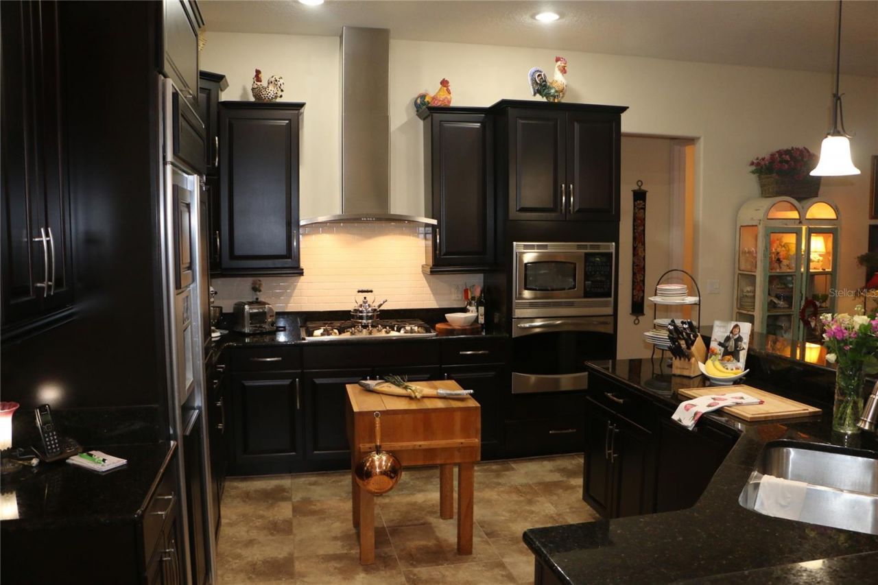 25447 High Hampton Circle, Sorrento, FL 32776 Photo