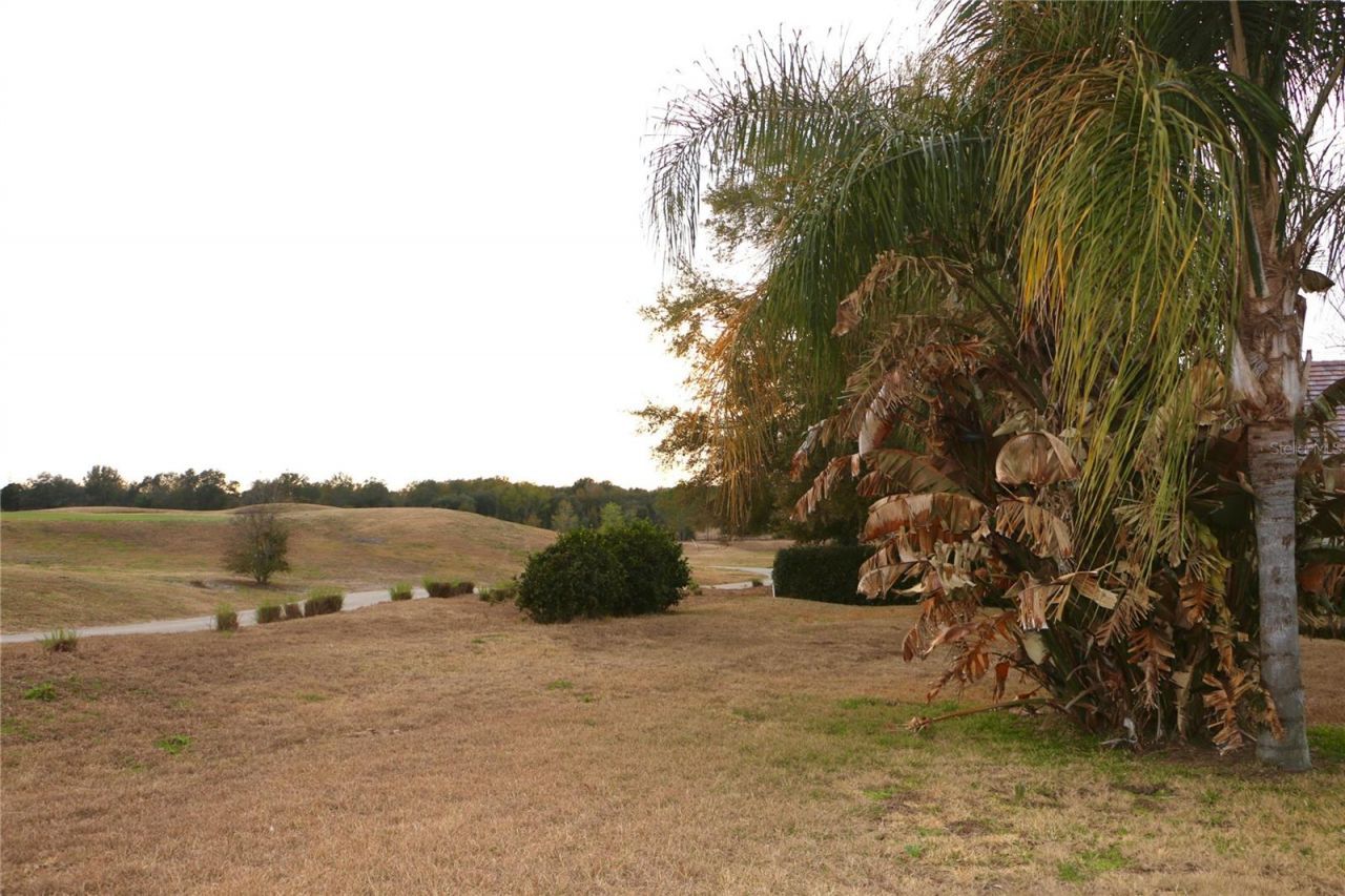 25447 High Hampton Circle, Sorrento, FL 32776 Photo