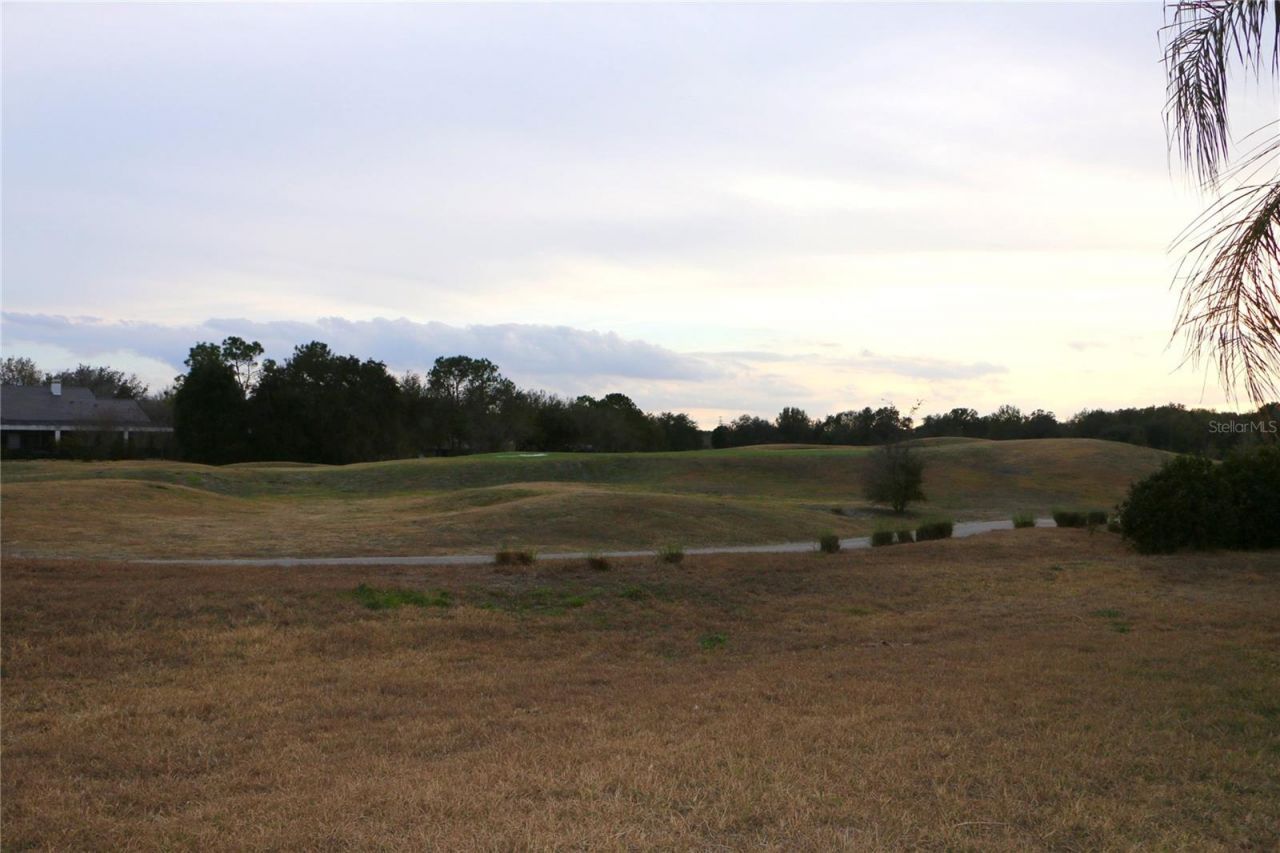 25447 High Hampton Circle, Sorrento, FL 32776 Photo