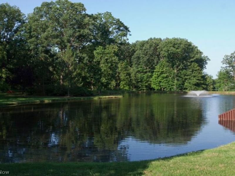 842 Arboretum Circle, Northfield, OH 44067 Photo 34