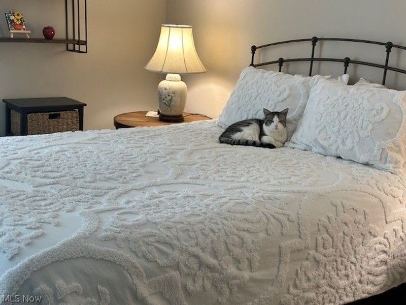 621 Blue Spruce Trail, Chagrin Falls, OH 44023 Photo 17