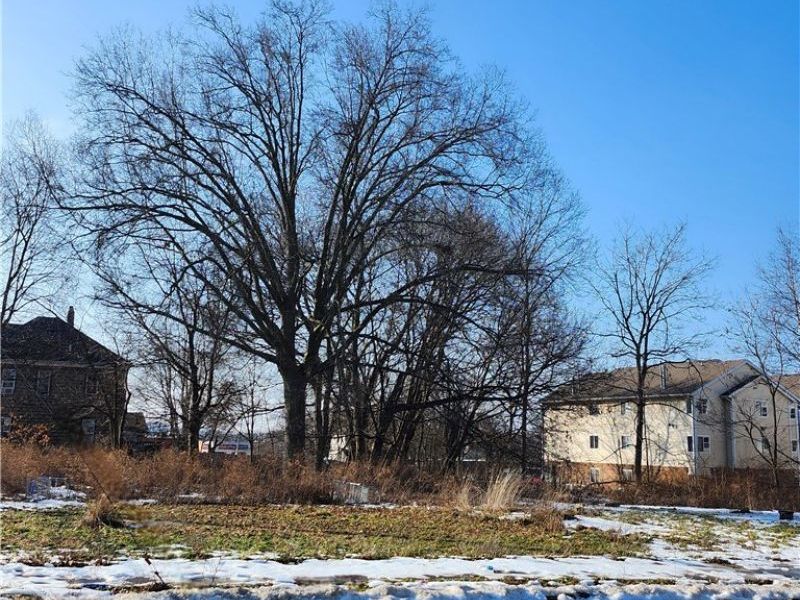 261 E Thornton Street, Akron, OH 44311 Photo 1