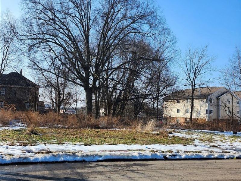 261 E Thornton Street, Akron, OH 44311 Photo 2