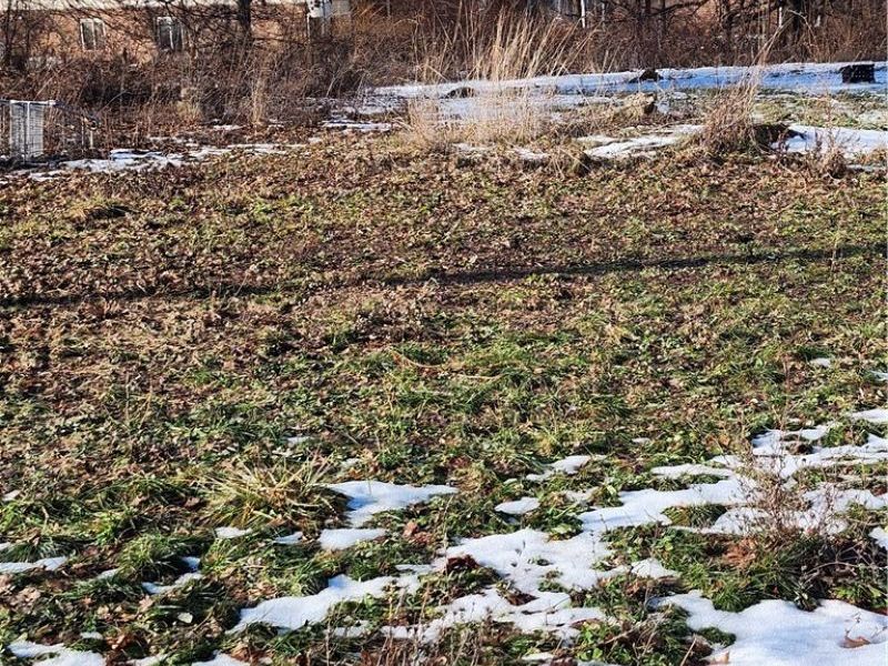 261 E Thornton Street, Akron, OH 44311 Photo 3