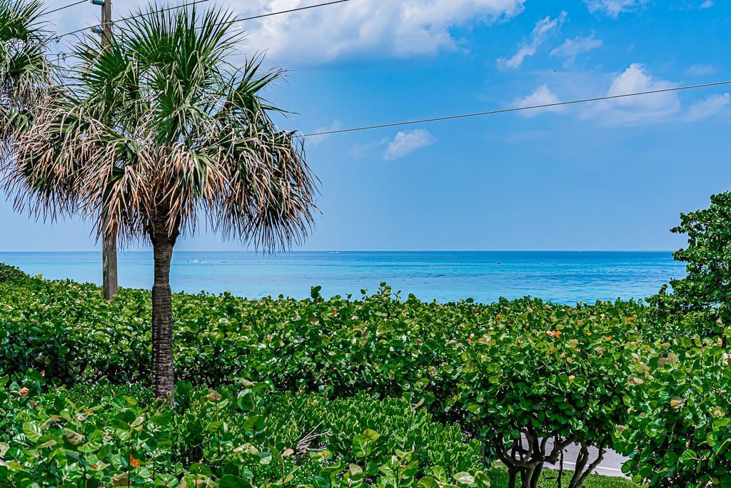1055 Ocean Drive, Unit 202, Juno Beach, FL 33408 Photo