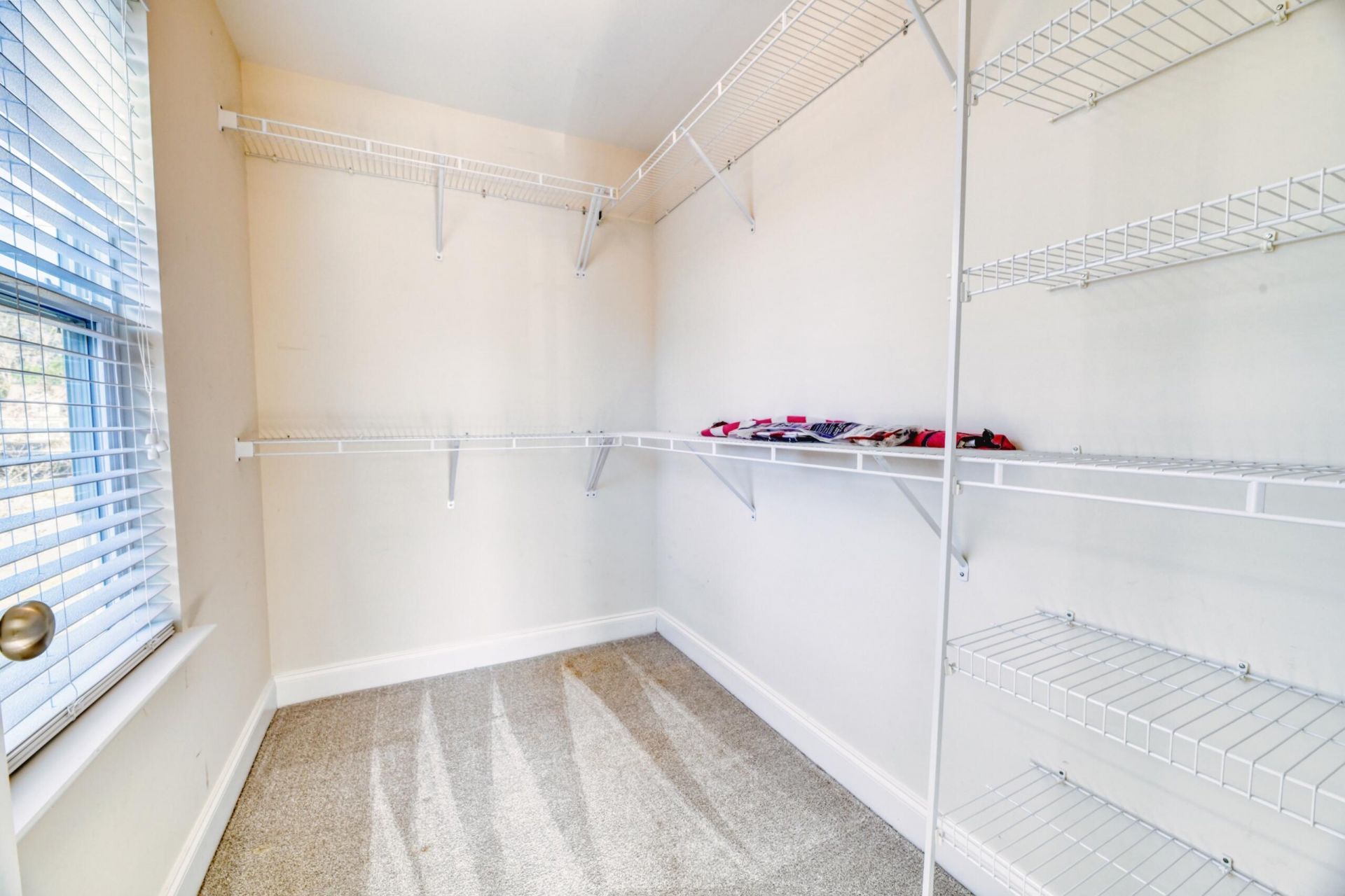 236 Larissa Drive Photo 29