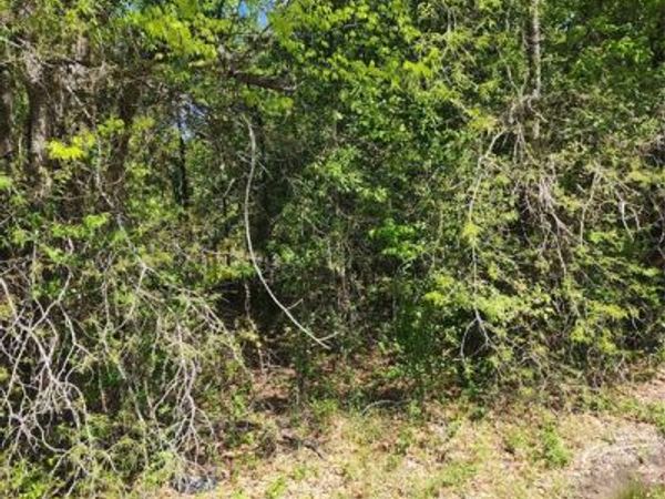 116 Lindy Lee Lane , Mabank, TX 75156