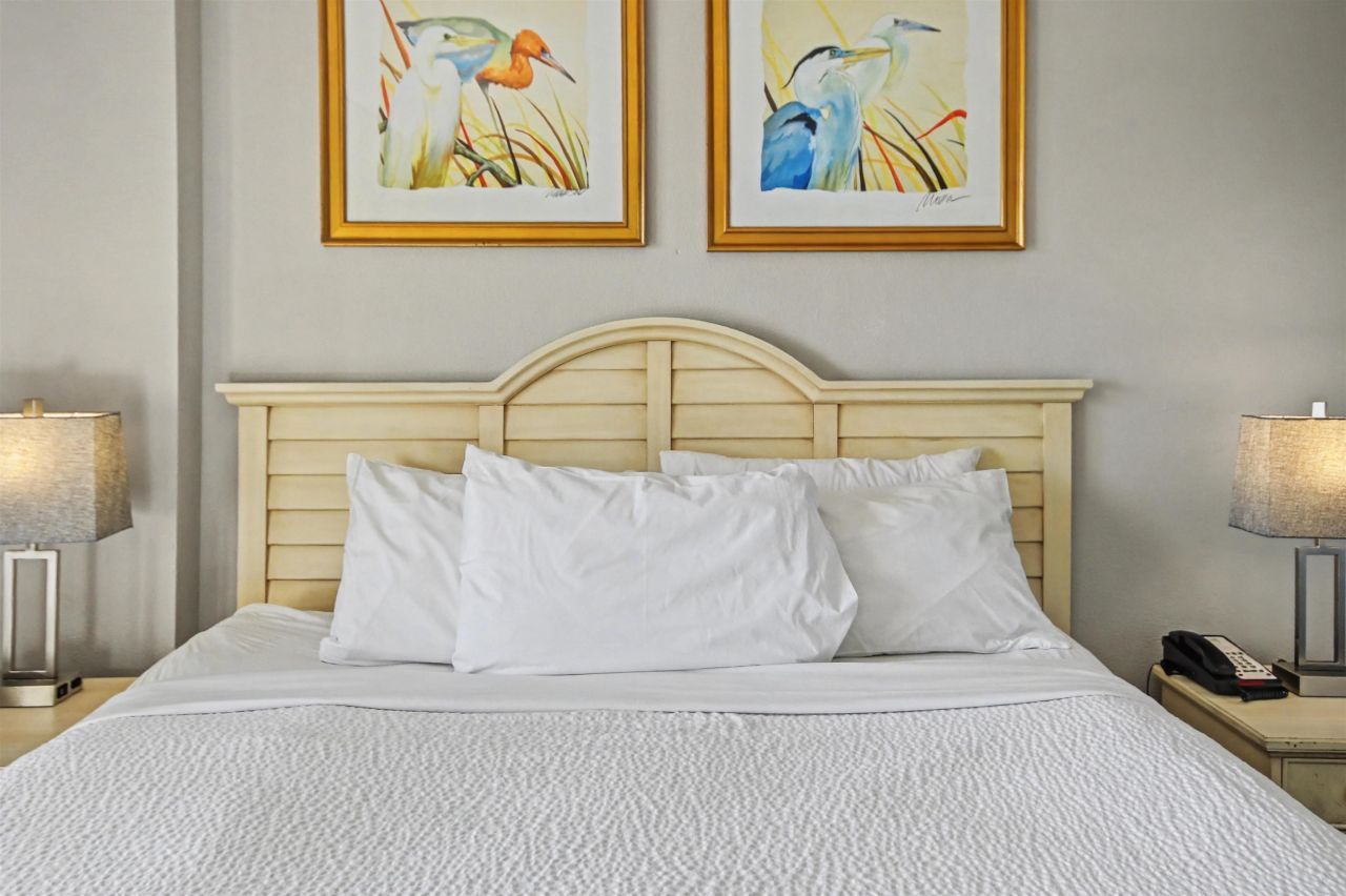 7100 N Ocean Blvd.  Photo 17