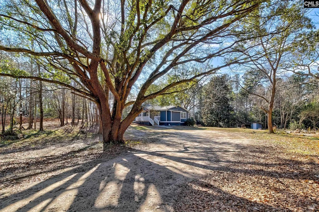 2503 Broad Street  Photo 4