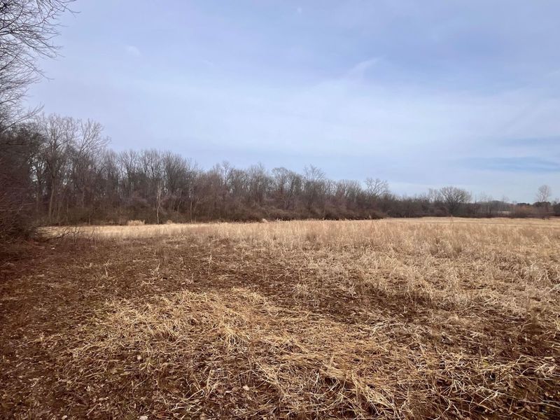 0 Township Road 145, Lot A , Edison, OH 43320 Photo 4