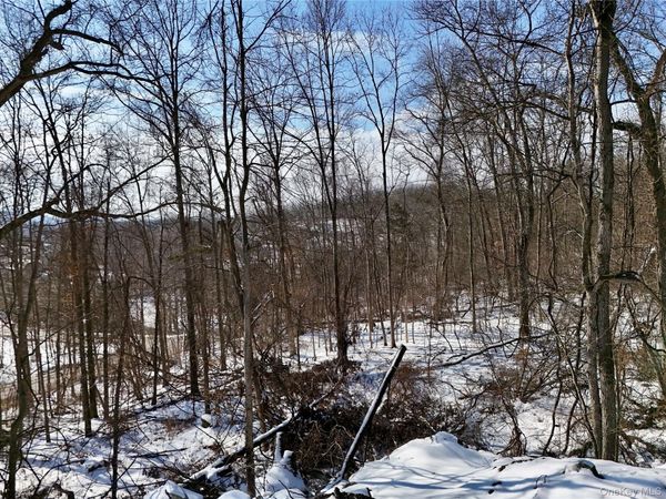 TBD County Route 12 , New Hampton, NY 10958