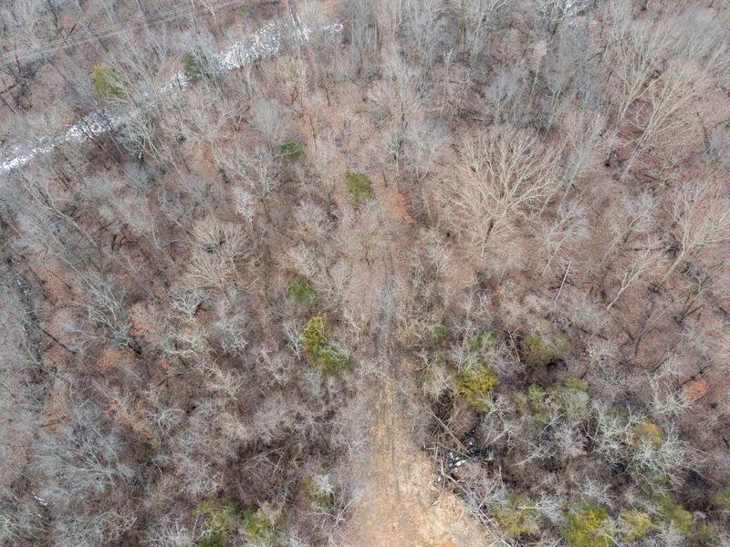 Lot 13 Lawrenceville Road, Williamstown, KY 41097 Photo 11