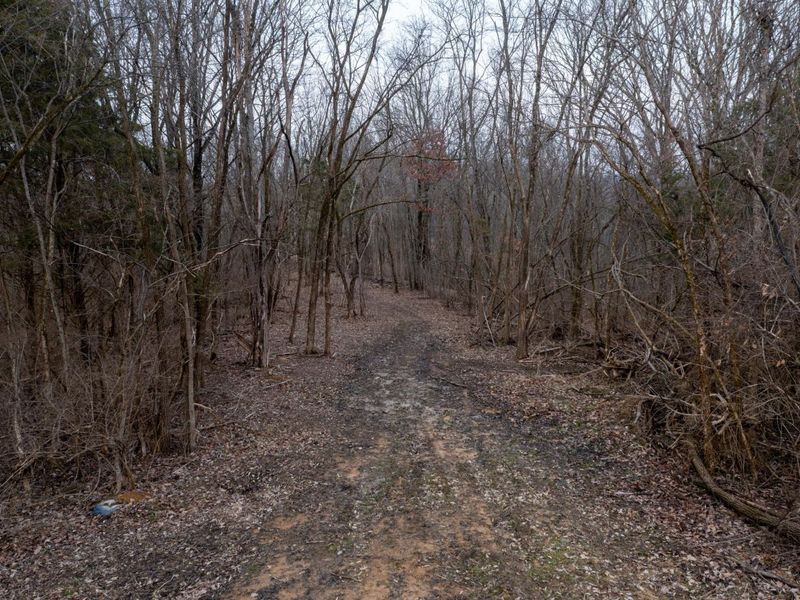 Lot 13 Lawrenceville Road, Williamstown, KY 41097 Photo 12